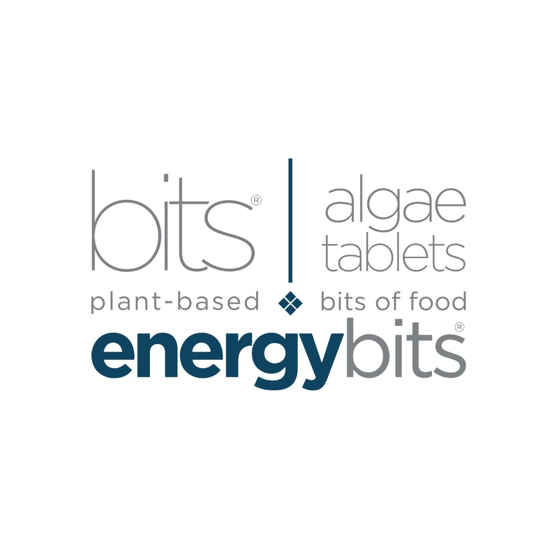 Energybits Inc.
